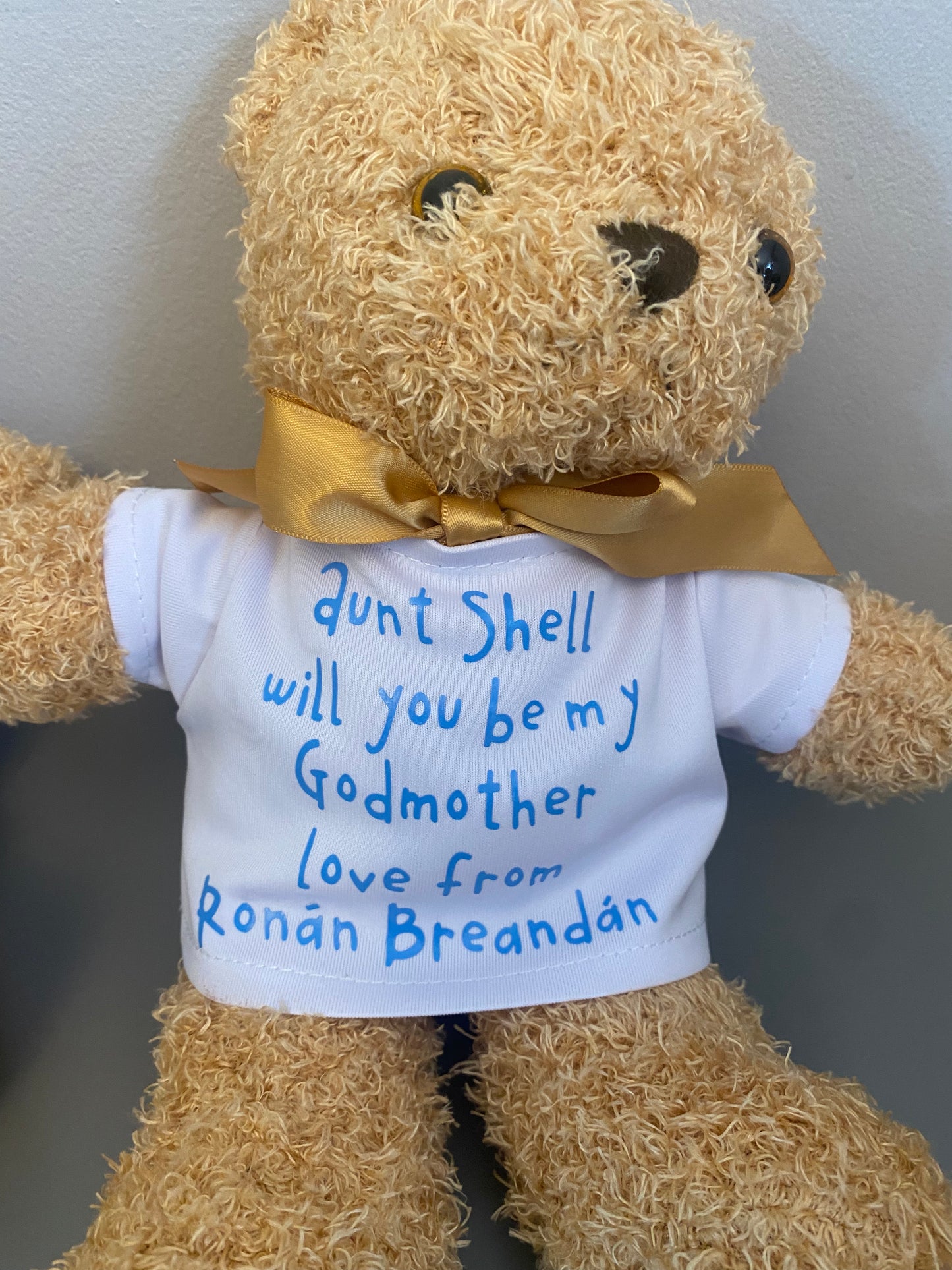 Teddy bears with text